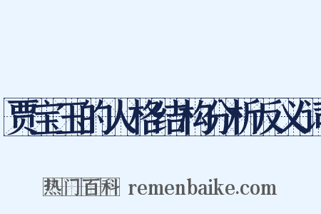贾宝玉的人格结构分析反义词是什么意思的图片